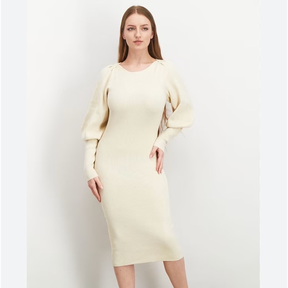 New! French Connection “Joss” midi dress NWT - Picture 1 of 5